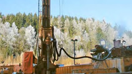 Ansicht  der Solequelle im Elstertal und im Hintergrund ist Wald
