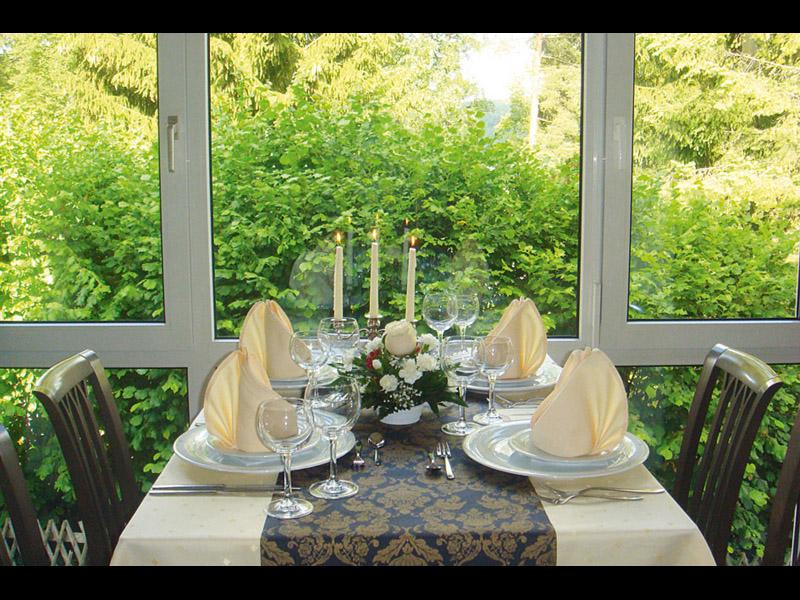 Im Parkhotel Helene gedeckter Tisch für vier Personen mit Blick ins grüne