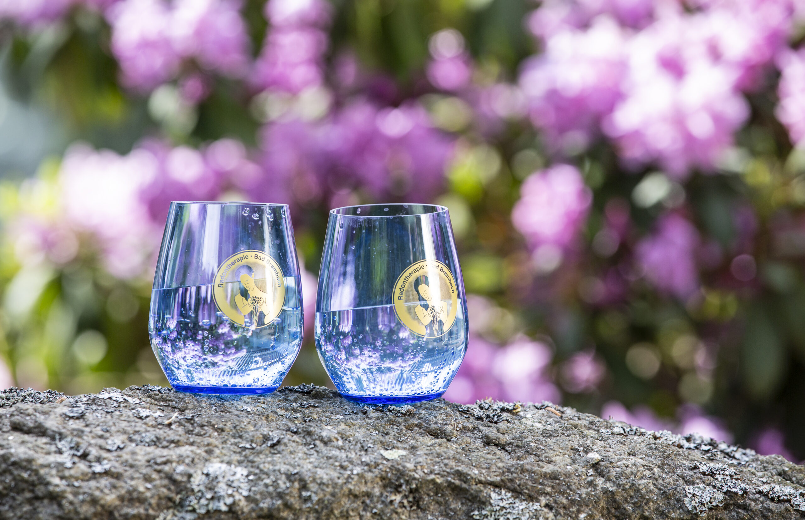 Zwei Radontherapie-Gläser mit Wasser gefüllt stehen auf einem Stein, im Hintergrund sind unscharfe rosa Blumen
